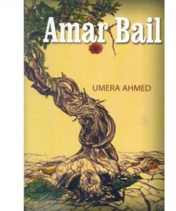 AMAR BAIL