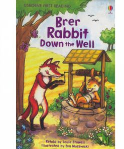 BRER RABBIT DOWN THE WELL: FIRST READING LEVEL 2