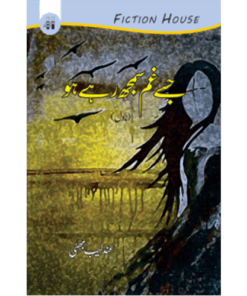 JISE GHAM SAMAJH RAHE HO (NOVEL)