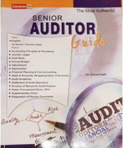 SENIOR AUDITOR GUIDE