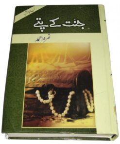 JANNAT KAY PATTAY / جنت کے پتے BY NIMRA AHMED