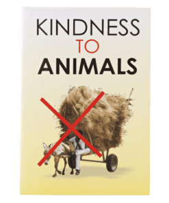 KINDNESS TO ANIMALS