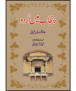 PUNJAB MEIN URDU