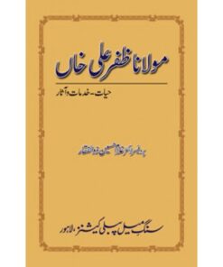 MAULANA ZAFAR ALI KHAN HAYAT, KHIDMAAT O ASAR