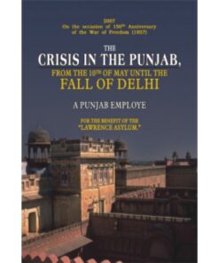 CRISIS IN THE PUNJAB