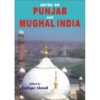 NOTES ON PUNJAB AND MUGHAL INDIA