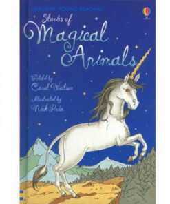 MAGICAL ANIMALS:YOUNG READING SERIES 1