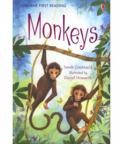 MONKEYS : FIRST READING LEVEL 3