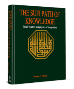 THE SUFI PATH OF KNOWLEDGE