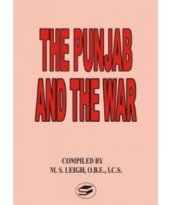 THE PUNJAB AND THE WAR