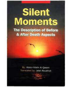 SILENT MOMENTS